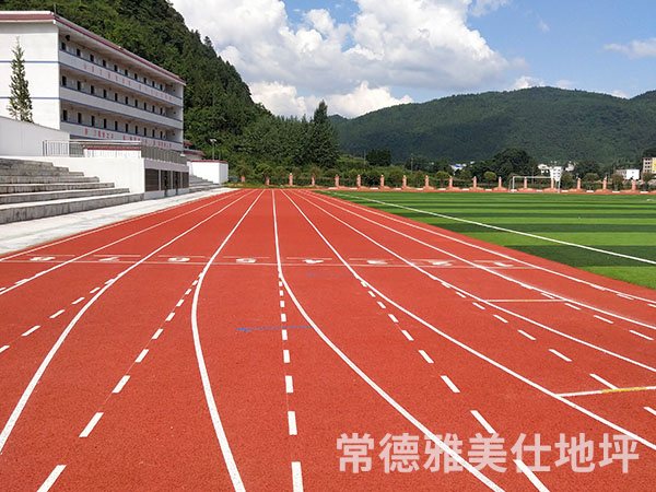 銅仁中學(xué)塑膠跑道、草坪